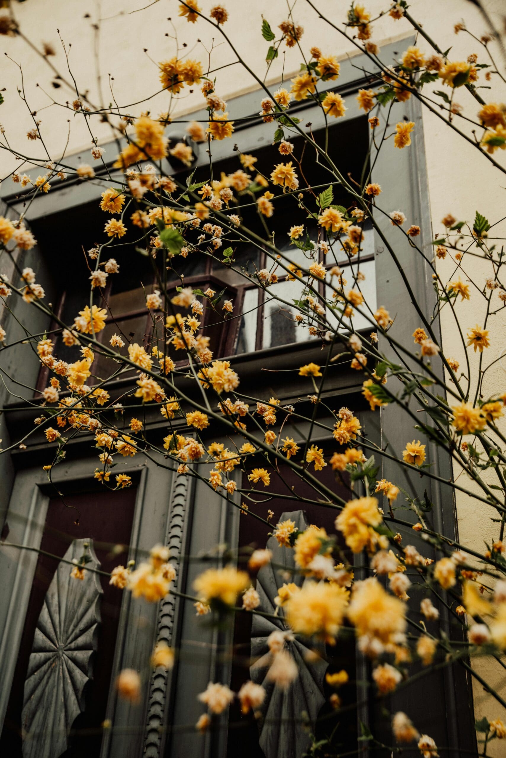 social media seasonal trends